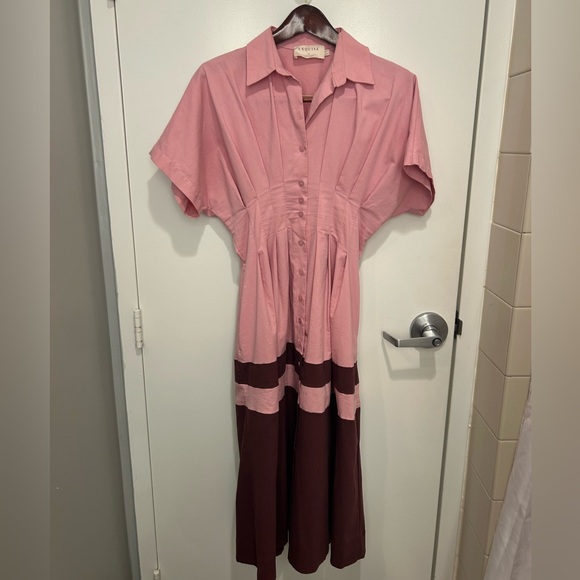 Button-Front Pink Colorblock Midi Dress - Picture 4 of 6